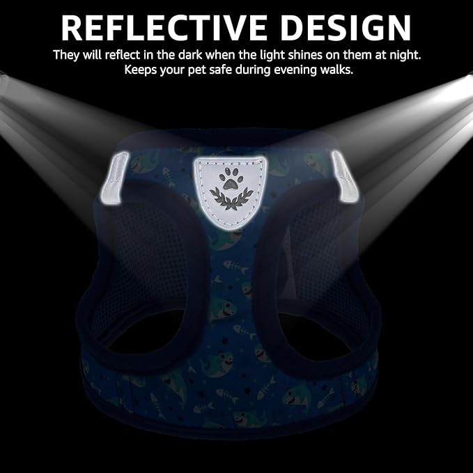 SCENEREAL Small Dog Harness and Leash Collar Set, Step in Soft Light Puppy Vest, Breathable Pet Harness for Small Sized Dogs, No Chock Reflective for Safe Outdoor Walking, Blue Shark S