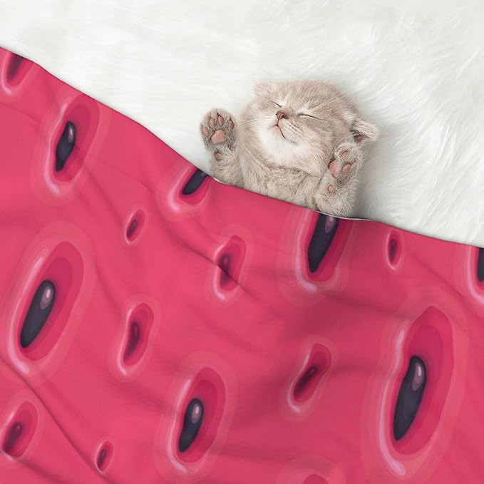 Reversible Plush Dot Pet Blanket for Dogs and Cats, Pink Watermelon, Ultra Soft Two Sided Design with Warm Fuzzy Side and Smooth Side for Comfort