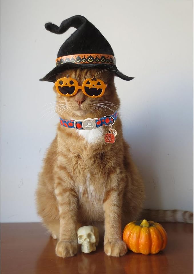 Halloween Cat Collar-2Pack Autumn Pumpkin Kitten Collars-Funny Halloween Ghost Breakaway Kitty Collars-Cute Ghost & Pumpkin Pendants,Fall Cat Collar with Bell, for Girl & Boy Cats