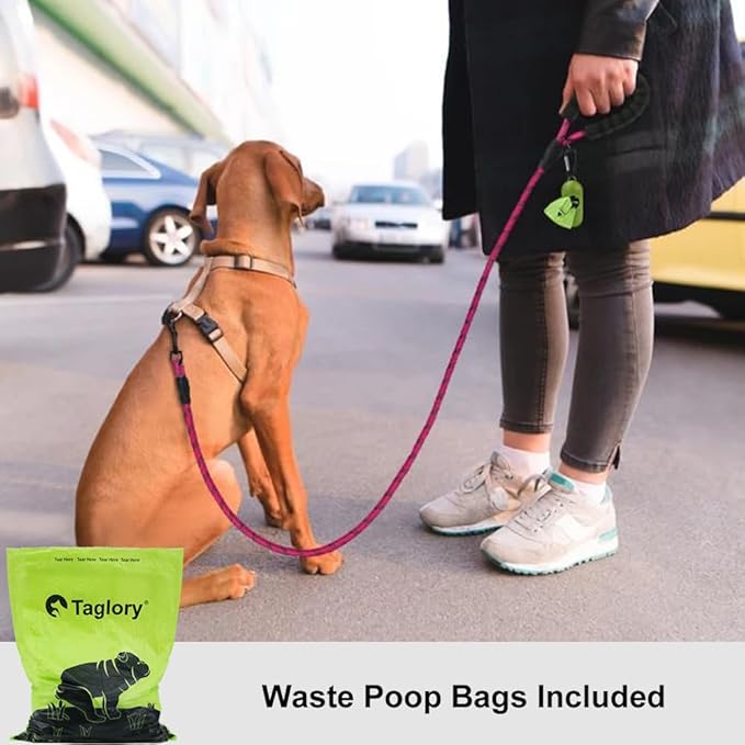 Taglory Rope Dog Leash 6 FT with Comfortable Padded Handle, Highly Reflective Threads Leash and Anti-Tangle Clip for Walking Small Dogs, 3/8 inch, Hotpink