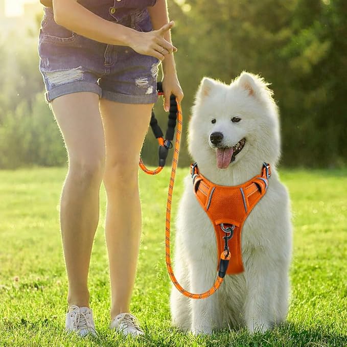 BARKBAY Dog Harness No Pull Oxford with ID Tag Pocket - Heavy Duty, Reflective, Easy Control for Large Dogs(Pumpkin Oxford,XL)