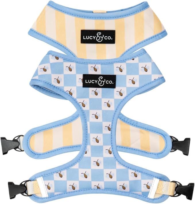 Lucy & Co. Bumbling Around Reversible Dog Harness, Adjustable Comfort Fit with Dual Leash Attachments, Medium