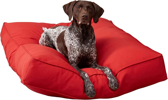 Casey Large (48 x 36 in.) Salsa Rectangle Indoor/Outdoor Pillow Style Dog Bed