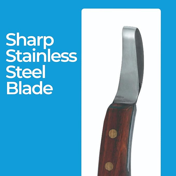 7 Inch Swiss Hoof Knife Double Edged – Stainless Steel Curved Blade Farrier Tool with Round Wooden Grip, Multipurpose Hoof Trimming Knife for Livestock. (Oval Hoof Knife)
