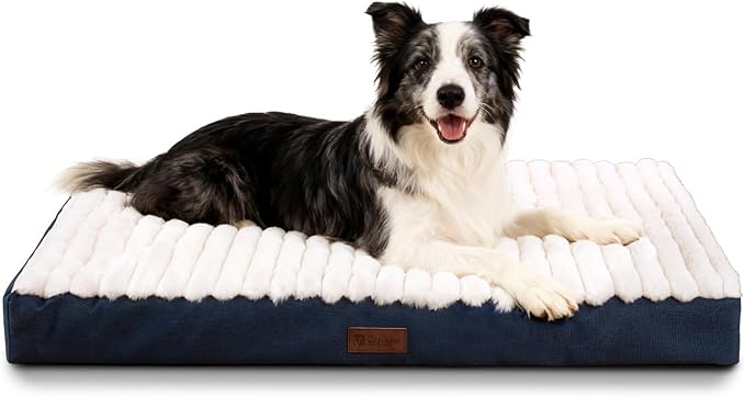Orthopedic Dog Bed with Firm High-Density Egg Crate Foam,Soft Short Plush Surface Pet Beds,Machine Washable with Removable Cover & Non-Slip Bottom for Medium/Large Breeds (Blue, 35" L x 22" W x 3" H)