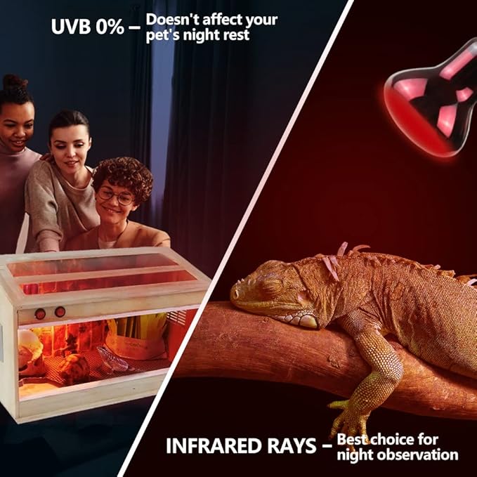 LUCKY HERP Infrared Heat Lamp 75W 2 Pack，Reptile & Amphibian Basking Spot Light Bulbs, Red Heat Lamp Bulbs for Reptiles, Bearded Dragon, Turtle, Lizard, Snake, Chicken