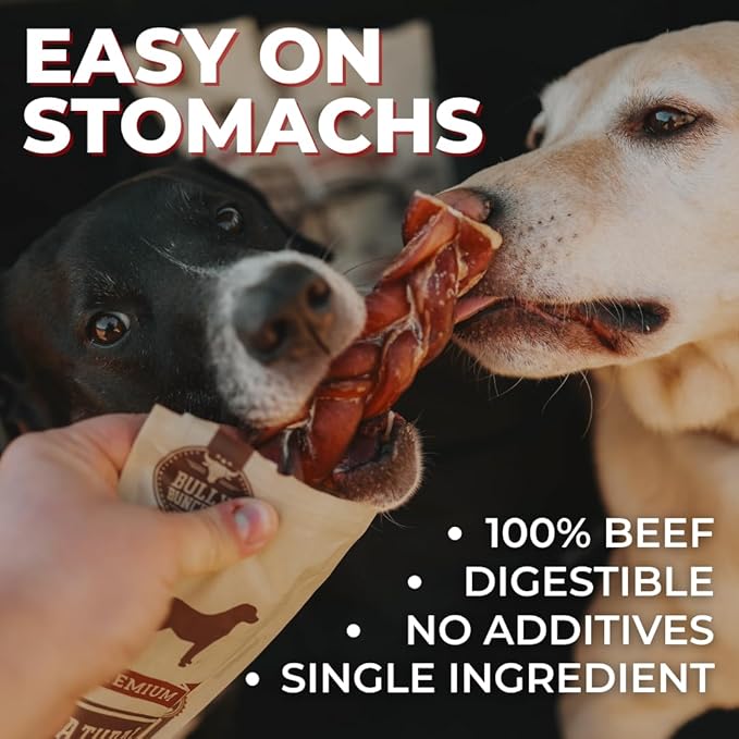 Bully Bunches Premium 6 Inch Thick Odor-Free Bully Sticks for Small & Medium Dogs - Consistently Sized, Long Lasting Chews for Oral Care- All Natural & Single Ingredient, 100% Beef Dog Treat (10 Pk)