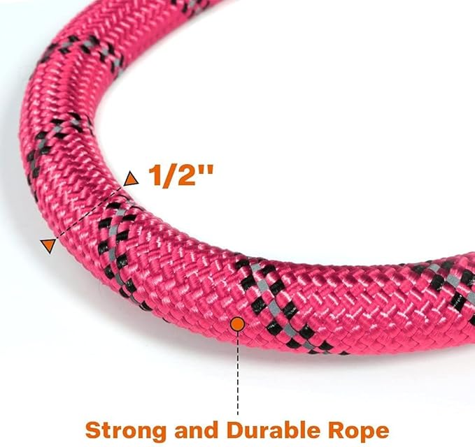 Taglory Rope Dog Leash 5 FT with Comfortable Padded Handle, Highly Reflective Threads Leash and Anti-Tangle Clip for Walking Medium Large Dogs, 1/2 inch, Pink