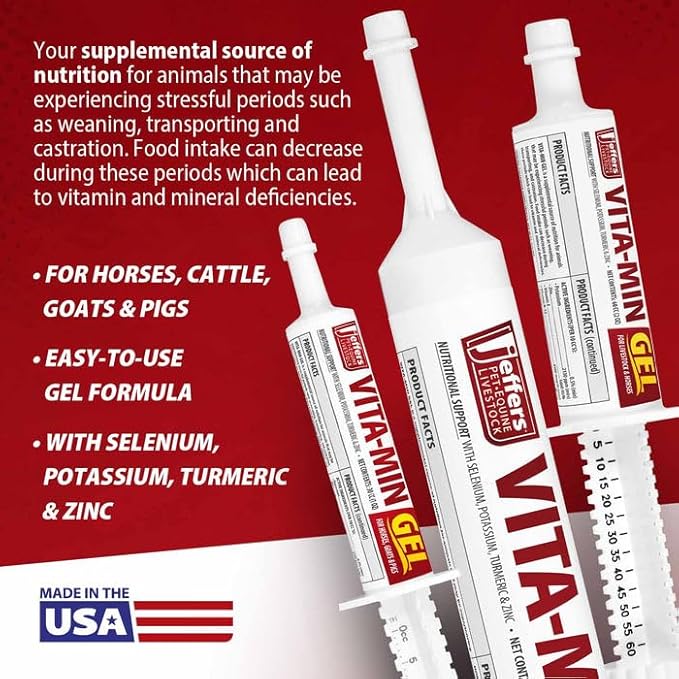 Jeffers Vita-Min Gel for Livestock & Horses – Multivitamin & Mineral Supplement with Selenium, Zinc, Potassium & Turmeric – Easy Oral Gel for Cattle, Goats, Sheep & Pig – 300 cc Tube - 12 Pack