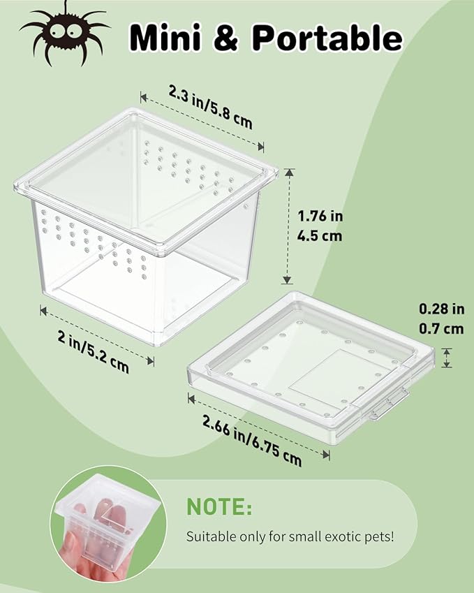 Pawfly 20 Pcs Mini Spider Terrarium Breeding Box, Transparent Plastic Jumping Spider Enclosure Cricket Keeper Tarantula Enclosure, Small Reptile Hatching Container for Scorpion Centipede Gecko Mantis
