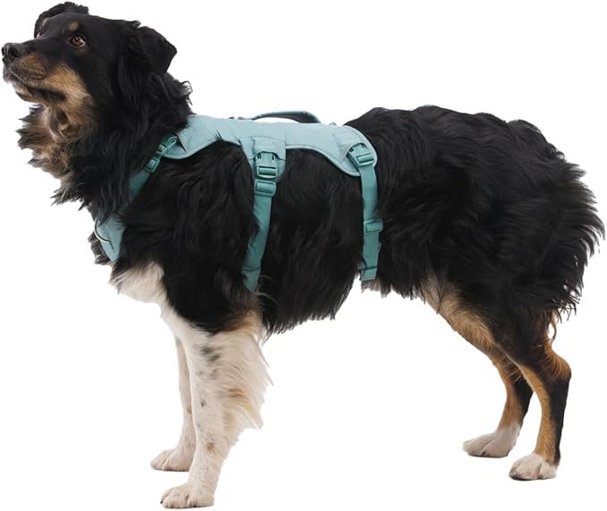 Ruffwear, Web Master, Multi-Use Support Dog Harness, Hiking and Trail Running, Service and Working, Everyday Wear, River Rock Green, X-Small