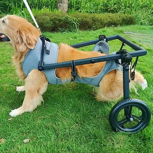 Pet Trolley Adjustable Hind Leg Disabled Dog Mobility Aid Light Rehabilitation Legs Wheelchair Walk Tools(XX-Large)