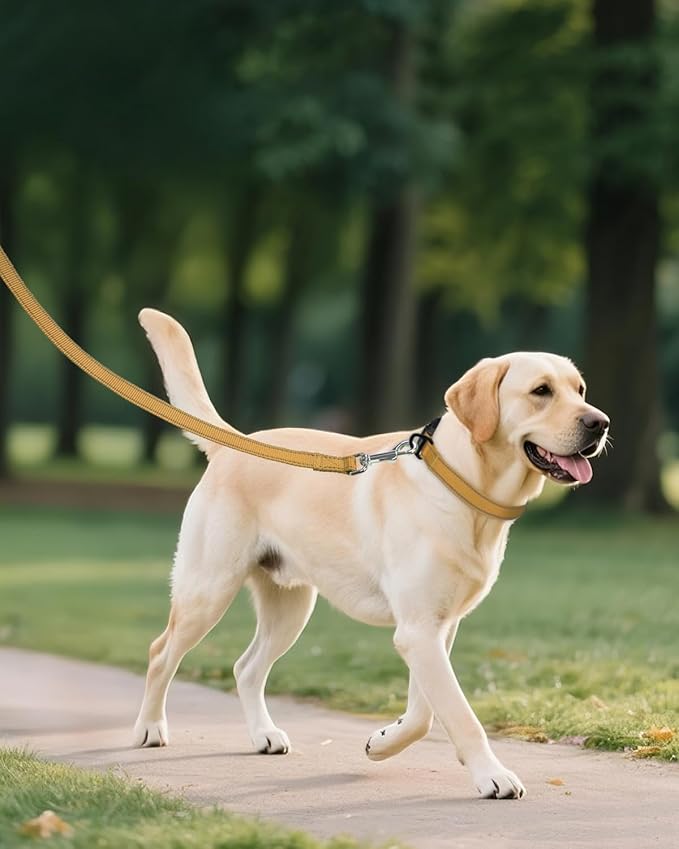 Joytale Large Dog Collar, Reflective and Adjustable Nylon Pet Collar with Quick-Release Buckle for Large Dogs, Khaki, L