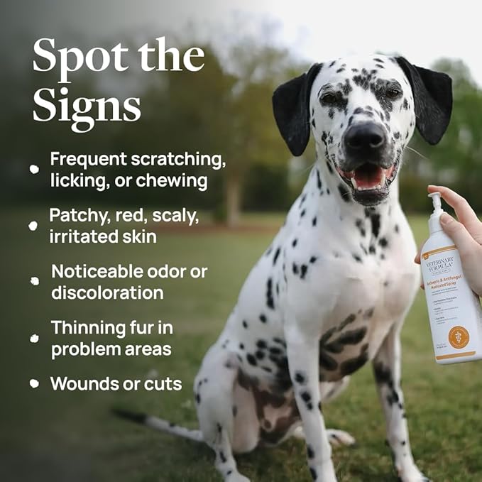 Veterinary Formula Clinical Care Antiseptic & Antifungal Medicated Shampoo and Spray for Dogs and Cats - Helps Alleviate Scaly, Greasy, or Red Skin - Paraben, Dye, and Soap Free, 2 Pack Bundle