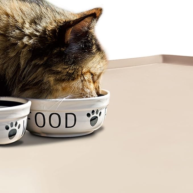Dog Food Mat,Silicone Waterproof Food Tray,Non Slip Pet Bowl Mats Placemat,0.6" Raised Edge,Suitable for Most Small and Medium Sized Pets,24" x 16"