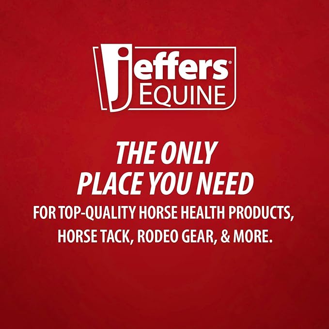 Jeffers Expression Neon Horse Boots 1 Pair - Purple & Pink, Breathable Neoprene, Secure Strap Closures, Durable Premium Protection for Jump Training & Trail Riding - Front & Hind, Small Size