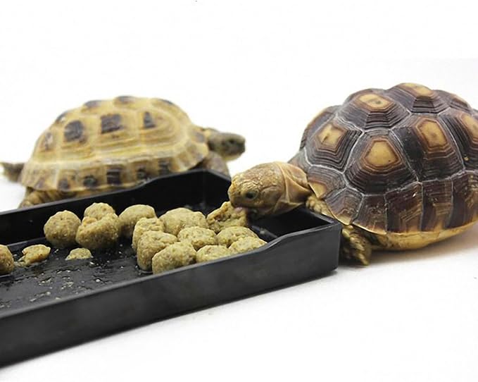 OMEM Reptile Bowl Large Food and Water Dish Enough Space Also Fit for Bath Simulated Wood Grain Surface (S, Black)