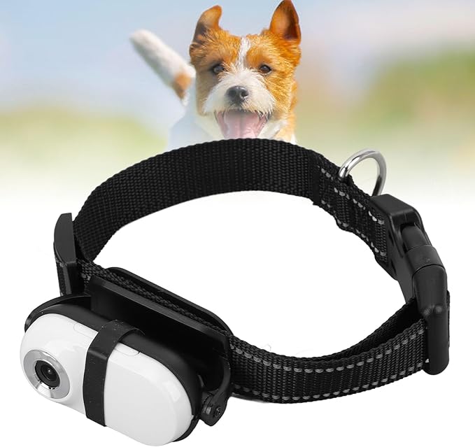 Cat Camera Collar, Pet Collar Camera with Memory Card, HD 1080P Wire Less Dog Tracker Camera Adjustable Mini Action Camera for Video Records (32GB)