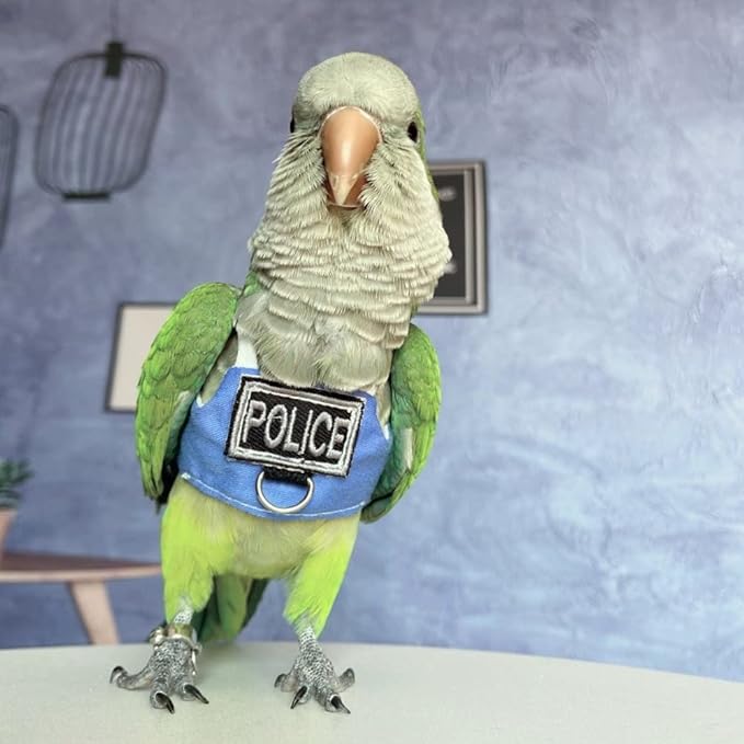 Bird Flight Harness Vest, Parrot Flight Suit with Leash, Bird Flying Clothes with Rope and Handle for Outdoor Activities (with Leash,Budgie)