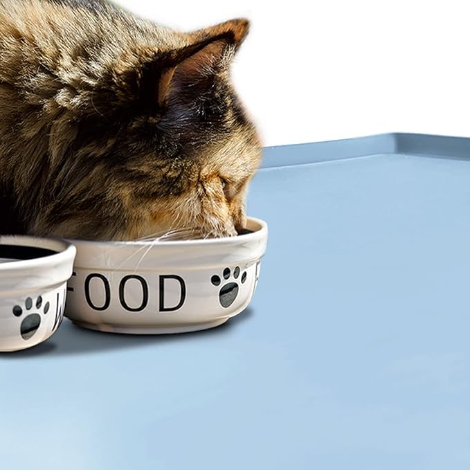 Dog Food Mat,Silicone Waterproof Food Tray,Non Slip Pet Bowl Mats Placemat,0.6" Raised Edge,Suitable for Most Small and Medium Sized Pets,24" x 16"