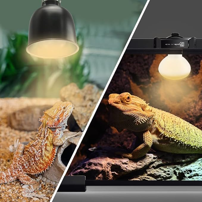 LUCKY HERP New Upgrade 100W Reptile Heat Lamp Bulb (3rd Gen, Safer), Amphibian Basking Spot Light Bulb, UVA Reptile Daylight Bulb for Turtle, Bearded Dragon, Lizard Heating Use (2 Pack)