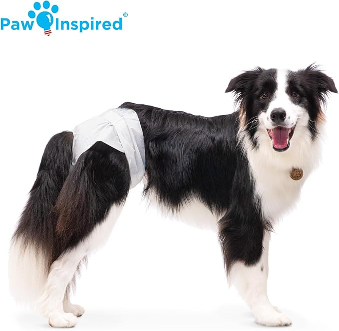 Paw Inspired Disposable Dog Diapers | Female Dog Diapers Ultra Protection | Diapers for Dogs in Heat, Excitable Urination, or Incontinence (12&144 Count) (Large (12 Count))