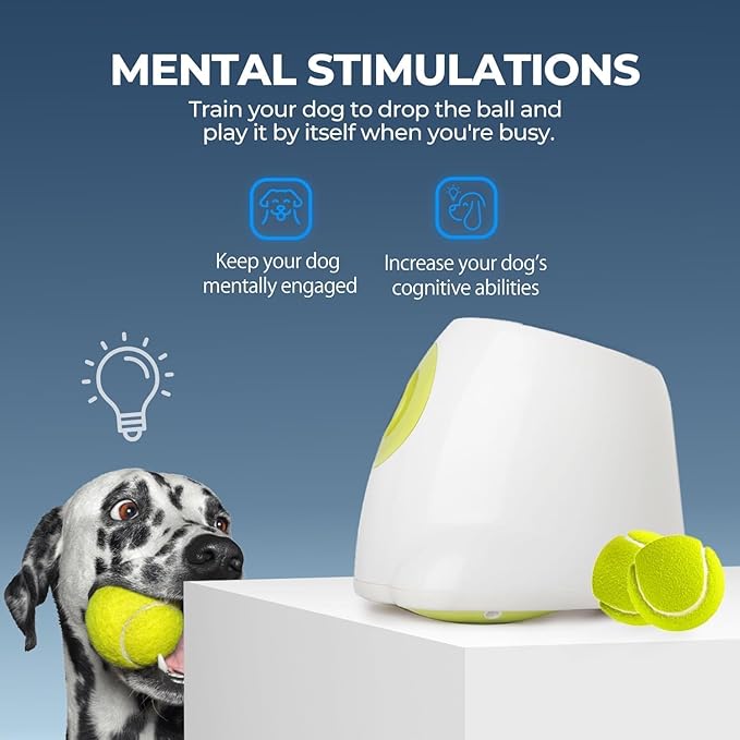 ALL FOR PAWS Automatic Ball Launcher for Dogs Interactive Puppy Pet Ball Outdoor Thrower Fetch Machine, 6 Balls Included (2.5 inch) for Medium to Large Dogs, Rechargeable Battery