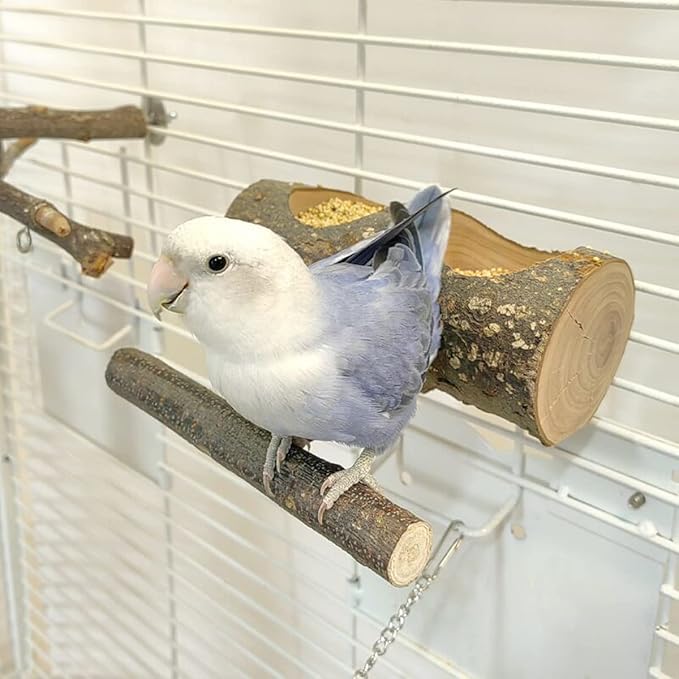 Apple Wood Feeding Bowl for Small Animals, Food Dish for Guinea Pig, Chinchilla Parrots