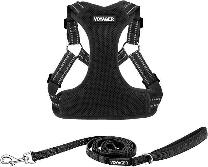 Best Pet Supplies Voyager Adjustable Step-in Flex Breathable Mesh Dog Harness for Small Medium Large Dogs Leash Set (Black), S