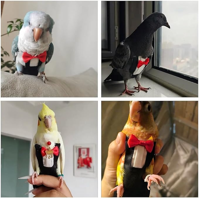 Bird Diapers Bird Harness Tuxedo Flight Suits with 80in Flying Leash Parrot Nappy with Waterproof Inner Layer Urine Wet Suite for Cockatiel Conure Parakeet Macaw Budgie-Black,M