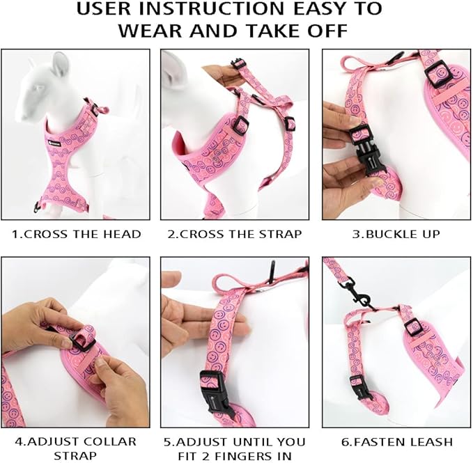 Adjustable Dog Harness and Leash Set for Girl Air Mesh Dog Vest Harness 5Ft Pet Training Leash with Soft Handle Pet Escape Proof for Small Medium Large Dogs (Dinosaur, XS)
