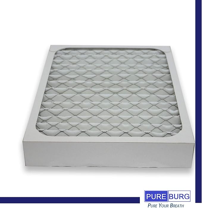 PUREBURG 2-Pack Replacement HEPA Filters Compatible