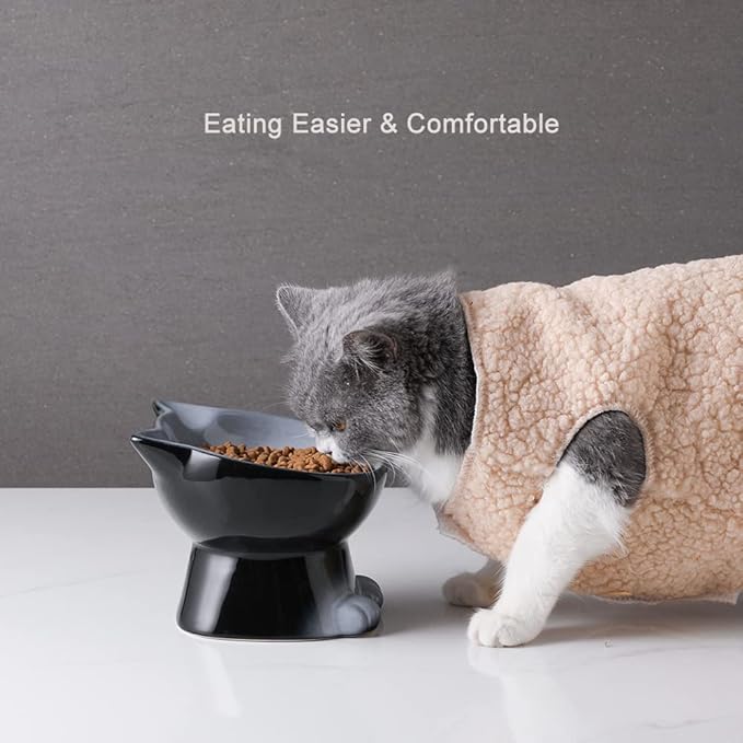 Nihow Elevated Cat/Dog Bowls Set : 6.2 Inch Ceramic Raised Cat Food & Water Bowl Set for Protecting Pet's Spine - Feeding & Watering Supplies for Cat/Small Size Dog - Elegant Gray(2PC)