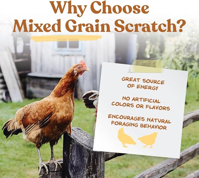 Manna Pro Ultimate Chicken Scratch Feed, Nutrient-Rich Scratch Grain Treat for Chickens and Poultry, Natural Multigrain Blend for Backyard Flocks and Laying Hens, Made in USA, 10 lb Bag