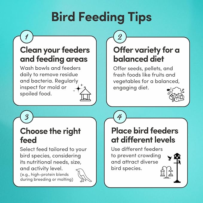 Mycelium Dove Premier Wild Bird Seed (5 LB Bag) | Organic, High-Protein Bird Food for Doves, Pigeons & Ground-Feeding Birds | Supports Brain & Heart Health | Non-GMO, USA Made, Filler Free