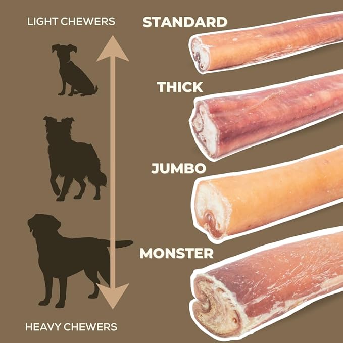 Bully Bunches Premium 6 Inch Thick Odor-Free Bully Sticks for Small & Medium Dogs - Consistently Sized, Long Lasting Chews for Oral Care- All Natural & Single Ingredient, 100% Beef Dog Treat (10 Pk)