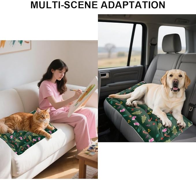 Holiday Candy Cane Dog Bed Crate Pad Easy to Wash Dog Bed Outdoor Pet Cozy Cat Non- Slip Bottom Friendly Furniture Multi- Scenario Mat for Dogs Gift Printed Cat Pad 36× 24 Inch