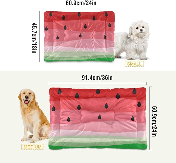 Pet Bed Watermelon Fruits Dog Bed Mat Absorbing Non Slip Pad Pet Sleeping Mat for Small, Medium, and Large Dogs Puppy Cat 36 in x 24 in