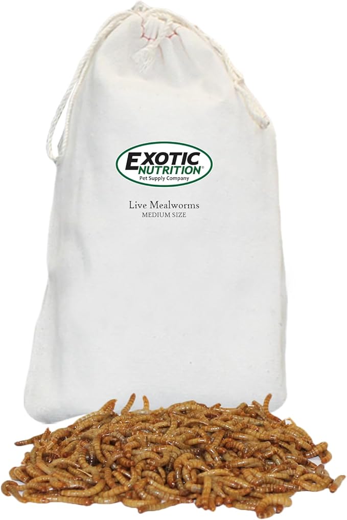Exotic Nutrition Medium Live Mealworms (1/2") (3,000 Pack)