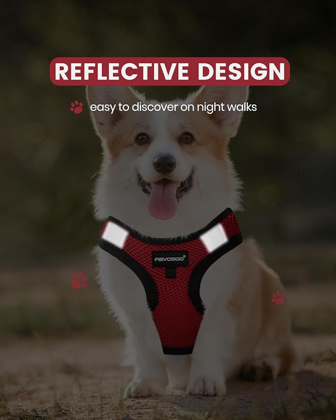 FAYOGOO Service Dog Vest for Small Dogs - Lightweight Dog Harness with 6PCS Removable Patches - Puppy Harness and Leash Set for Walking,Training
