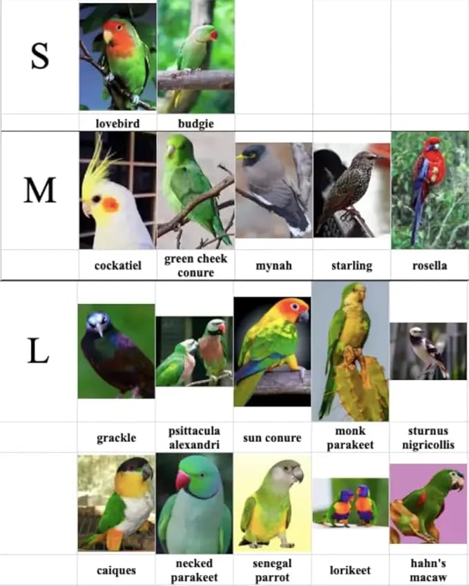 Bird Flight Harness Vest, Parrot Flight Suit with Leash for Parakeets Cockatiels Conures Budgies, Bird Flying Clothes with Rope and Handle for Outdoor Activities Training (M, Blue)