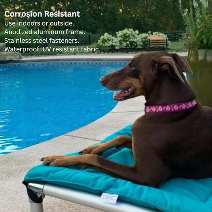 Kuranda Chewproof Elevated Pet Bed - Silver Aluminum - 44" x 27" - Sunsure Textilene - Birch