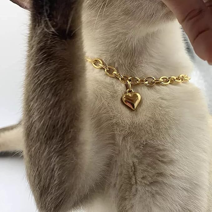 HOWWFALY Dog Collar and Cat Chain Necklace Stainless Steel Adjustable 18K Gold Heart-Shaped Necklace for Small Pets Cats Kitten Puppy (Gold, 7 inch)