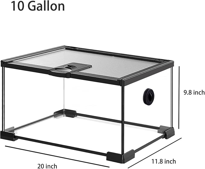 Reptile Terrarium Tank, Glass Reptile Vivarium, Sliding Mesh Cover, for Lizards, Horned Frogs, Snakes, Spiders, Turtle (L,10Gal (20"x12"x9.8"))