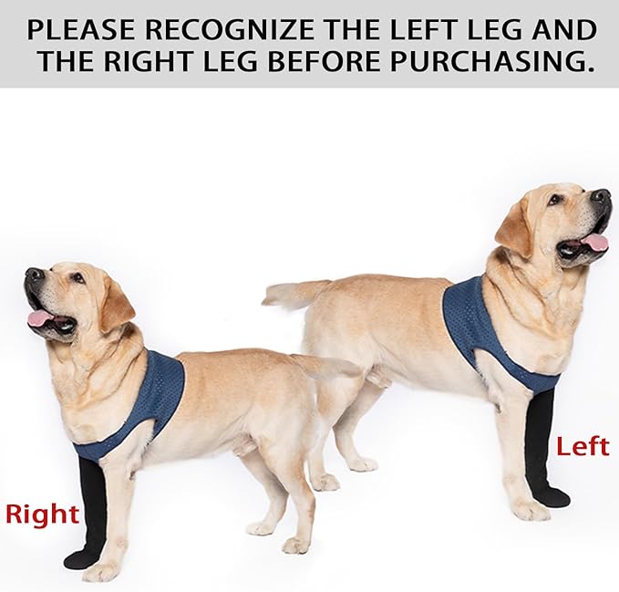 COODEO Dog Socks to Prevent Licking Paws, Healing Boots & Paw Protectors with Non-Slip Bottoms for Wound Protection, Waterproof Sleeve Shoes for Licking（Blue，2XL_Right