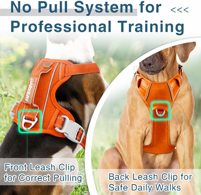 BARKBAY Dog Harness No Pull Oxford with ID Tag Pocket - Heavy Duty, Reflective, Easy Control for Large Dogs(Pumpkin Oxford,XS)