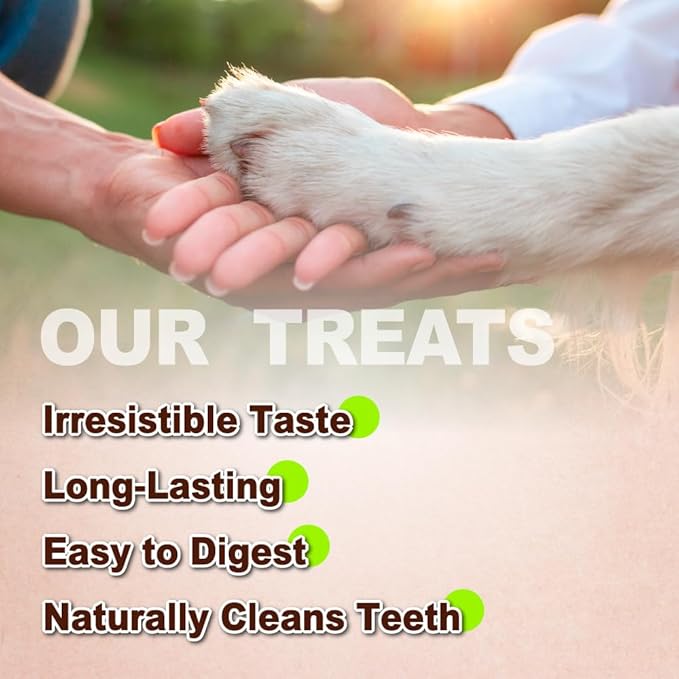 A Freschi srl Turkey Tendons for Dogs, Long-Lasting, Hypoallergenic Rawhide Alternative, Human Grade, Healthy Puppy Chews, Natural Dog Treats for Large Dogs, Bone (L), 10 Count Box