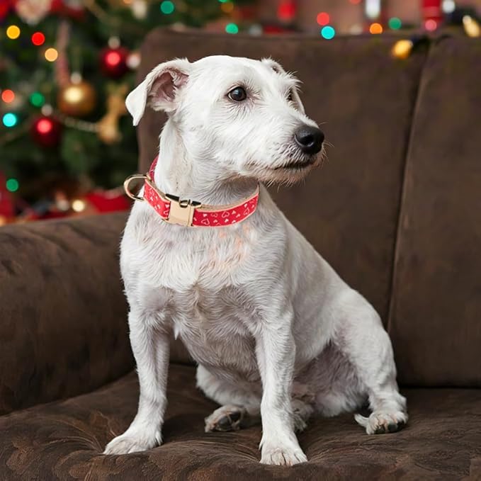 Woven Dog Collar with Metal Buckle Adjustable Jacquard Retro Dog Collars for Small Medium Large Dogs(Red Heart,M)