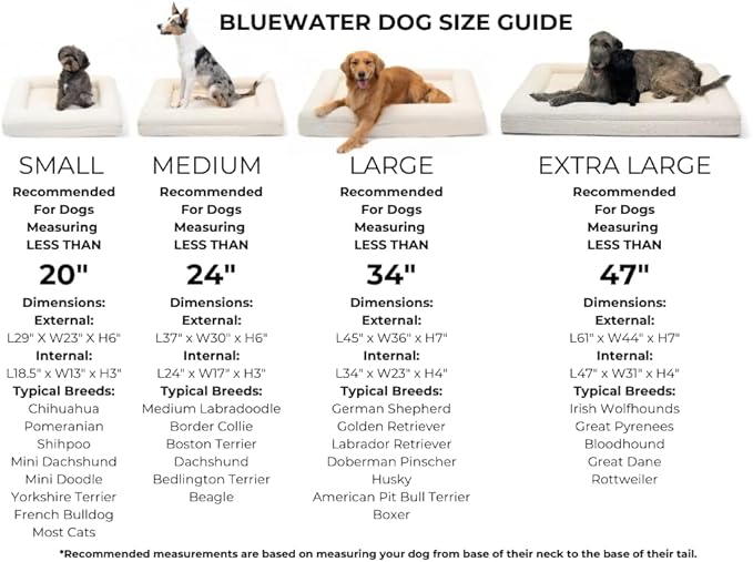 Luxury Boucle Orthopedic Memory Foam Dog Bed with Waterproof Liner and Machine Washable Cover with YKK Zippers (Small, 29" L x 23" W x 6" Th, Cloud)