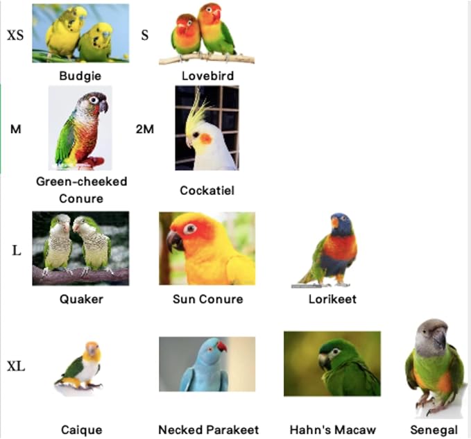 Bird Flight Harness Vest, Parrot Flight Suit with Leash for Parakeets Cockatiels Conures Budgies, Bird Flying Clothes with Rope and Handle for Outdoor Activities Training, Anti Bite (Large)